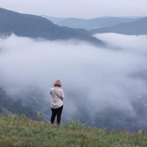 ����: �������� �����������