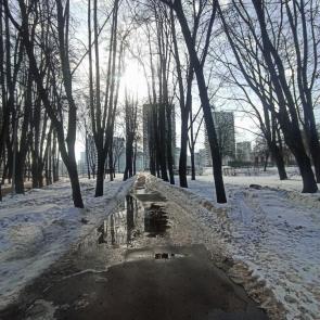 ����: �������