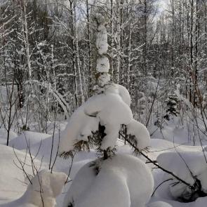 ����: ���������� ����� 