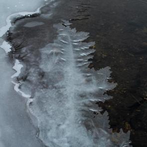 ����: ������� ������� 