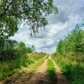 ���������� � �������