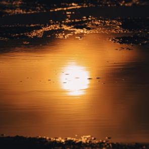 ��������� �� ����������