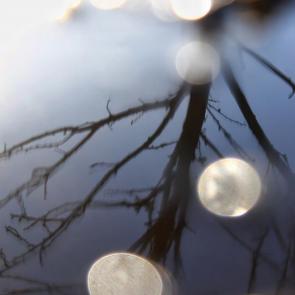 ��������� �� ����������