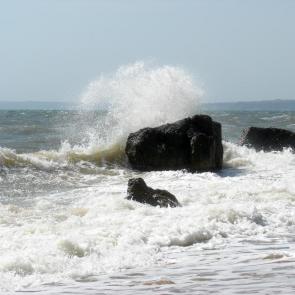 ������ ���