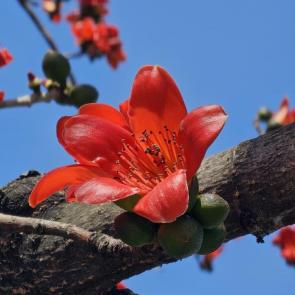 ����: ��������� ������