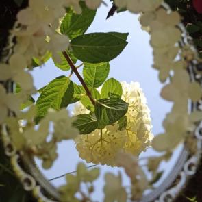 ����: ��������� 