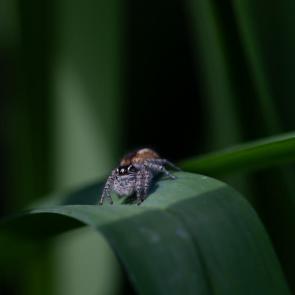 ����: � ������