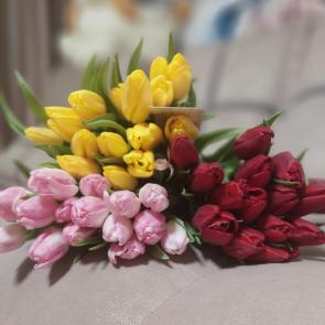 ����: �������� ��������