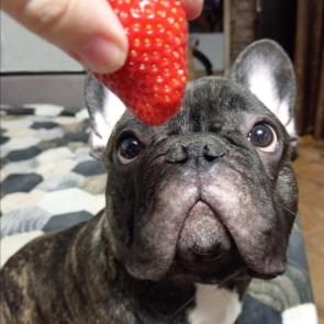 ���������� � �����������