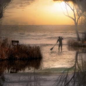 ����: ��������.