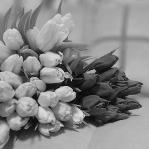 ����: ����� � ���������