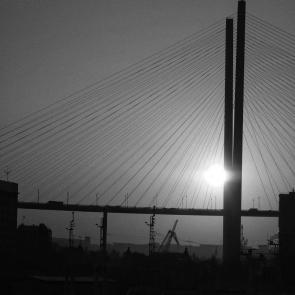 ����: ������� 