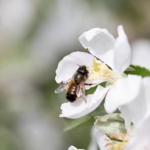 ���� ��������: ��������� ����