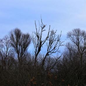 �������� � ���������� �������