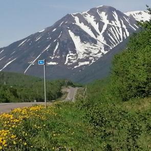 ���������� � �������