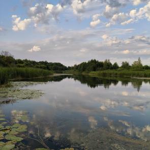 ����: �� ������� 