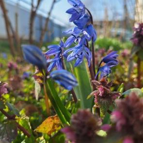 ��������� �����