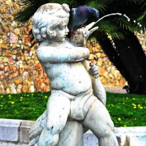 ����: �����