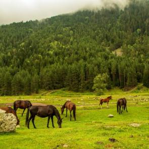 ����: ������ � ��������� ������