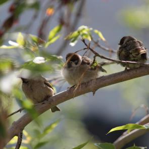 ����: �����, ����� �� ����� ))