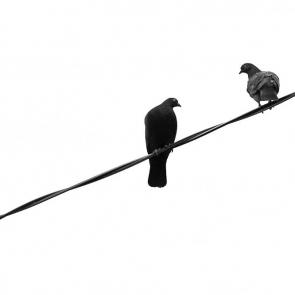 ����: ������ ������...