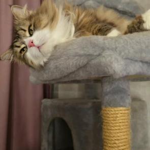 ����: ��������...