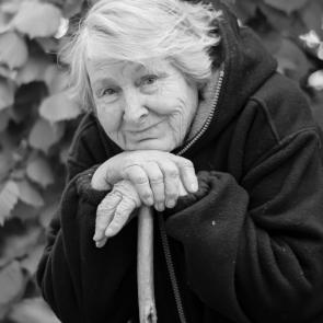 ���� ��������: ���� ����