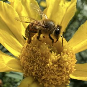 ��������� � ����� �� ����������