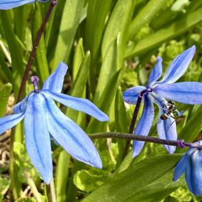 ����: �������� ��������