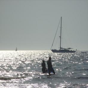 ����: �������