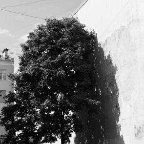 ���� ��������: ����