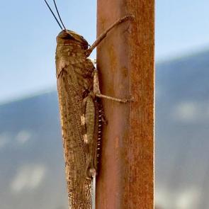 ����: �����!