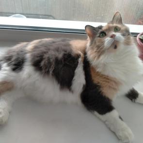 ����: ����� � ������ 