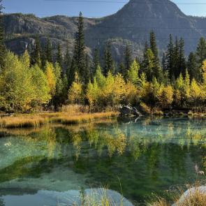 ����: ��������� ������� ����� 