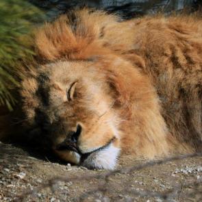 ����: �� ������