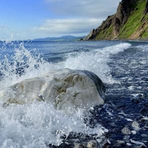 ����: ���� ������ ����� 