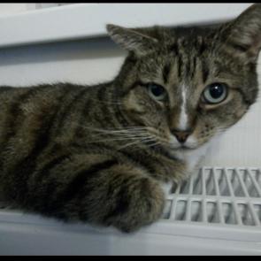 ����: ��������� ������ 