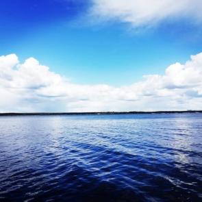 ������ ���