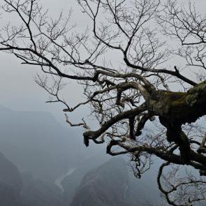 ����: ������ �� ������