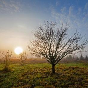 �������� � ���������� �������