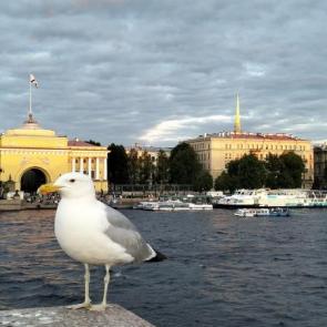 ��� ����