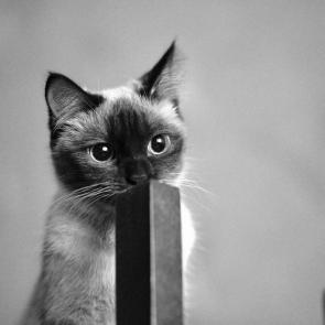 ���� � �����