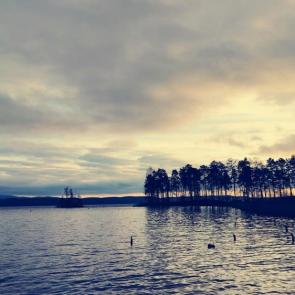 ������ ���