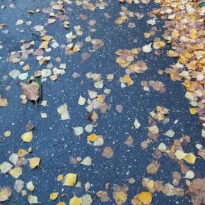 ����: ������� �����