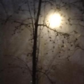 ����: 