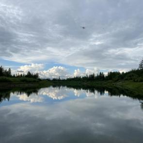 ��������� �� ����������