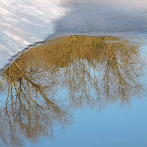 ��������� �� ����������