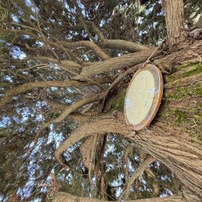 �������� � ���������� �������