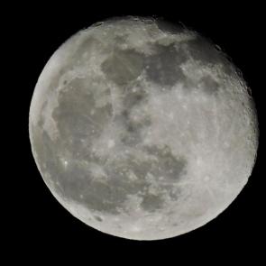 ���� ��������: 