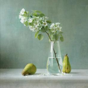 ���� ��������: �������� �����